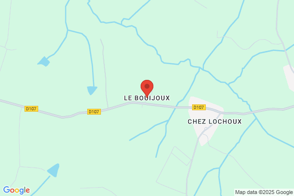 Bouijoux Dominique