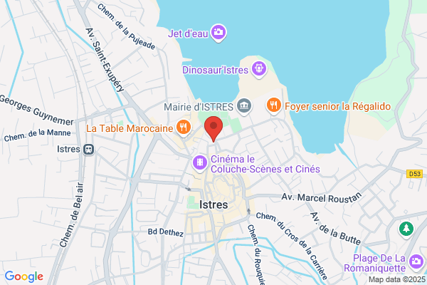Association Culturelle Du Theatre De L Olivier administrat