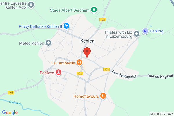 Brisbois Patrice