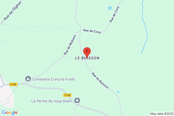 Buisson Martin
