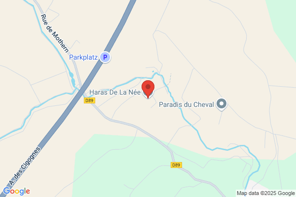Aux Chevaux De La Nation