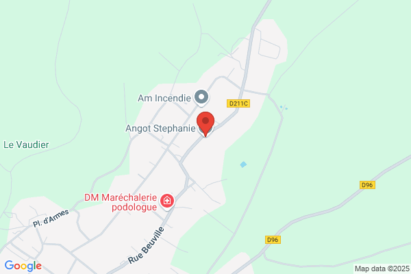 Angot Stephane