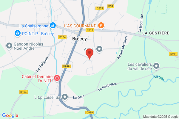 Boisaubert Thierry Medecin