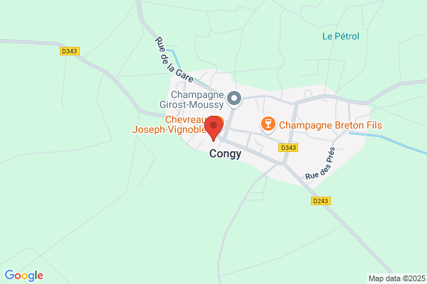 Congy Dominique