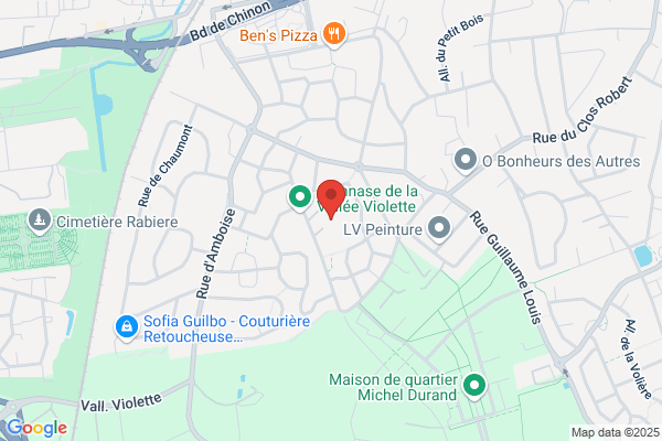 College Nationalise Mixte Vallee Violette