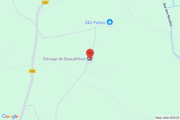 Baudribos Eric