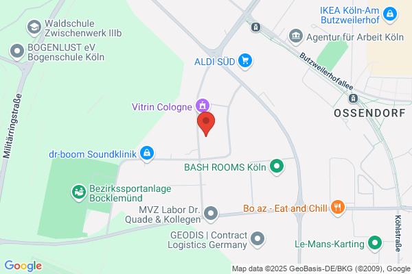 Bosch Car Service Sodis Electro Diesel Agt Atelier Et magasin