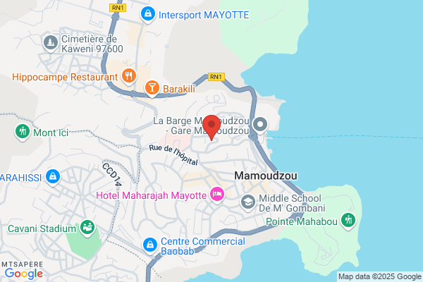 LES MINEURS ISOLÉS DE MAYOTTE