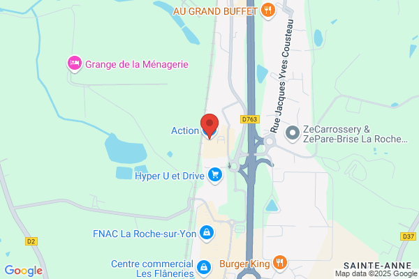 Action La Roche-sur-Yon-Les Flâneries