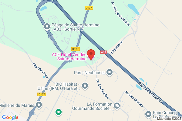 Ace Vendee