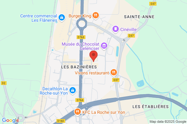 Cheminees Plus