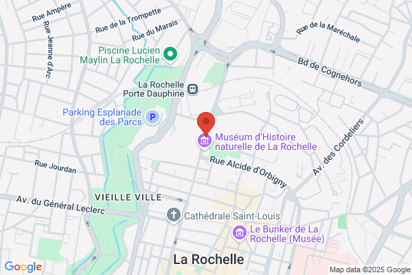Auto Ecole Chifoleau