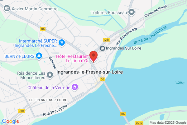 Hotel Du Lion D Or