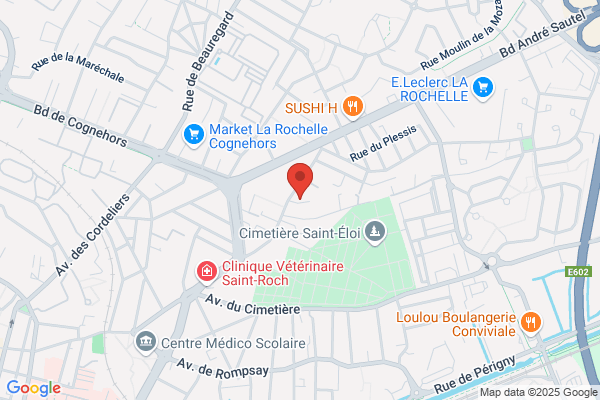 Comite Departemental De Gymnastique Volontaire