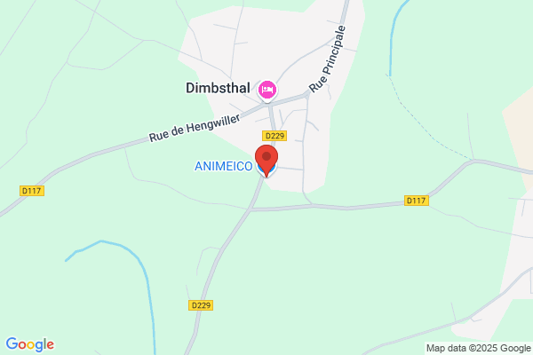 Animateur De Developpement