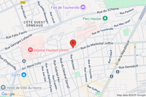 Chollet Michel