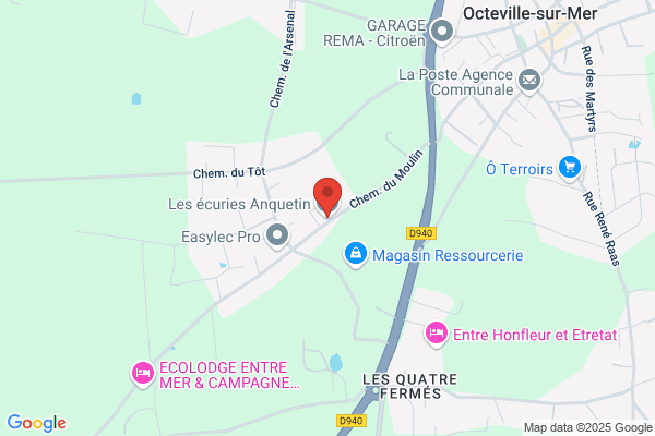 Anquetin Stephane