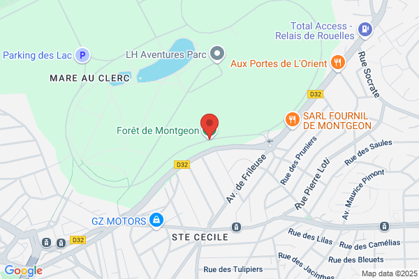 Chlorophile Camping De La Foret