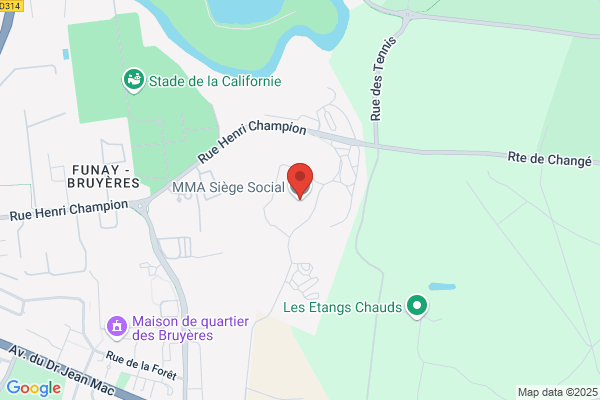 Comite D Etablissement Des Mma