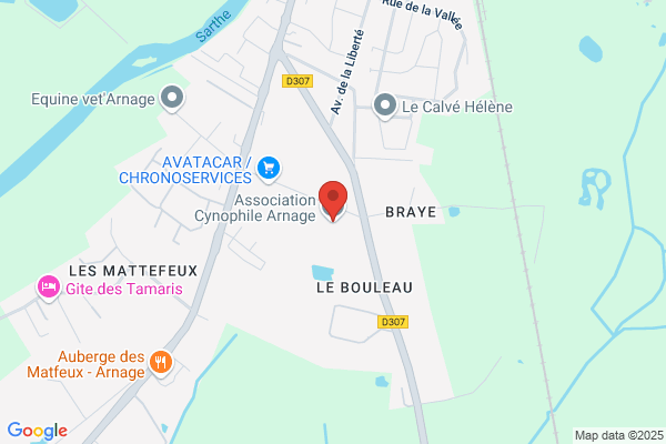 Association Cynophile D Arnage