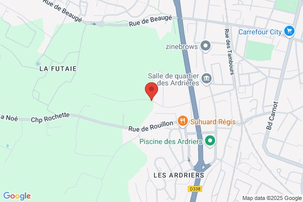 Buisson Philippe