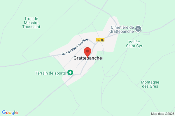 Grattepanche David