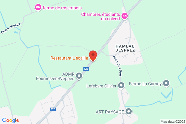 Celene Finance Et Immobilier