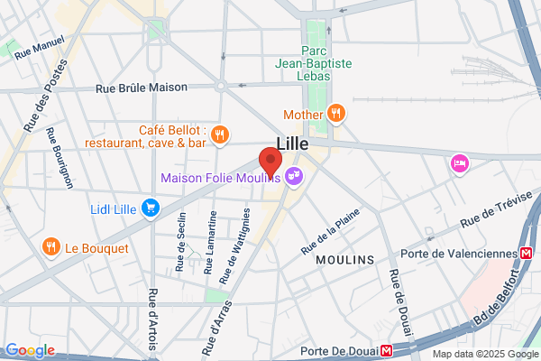 Iseg Lille Institut Superieur Europeen De Gestion