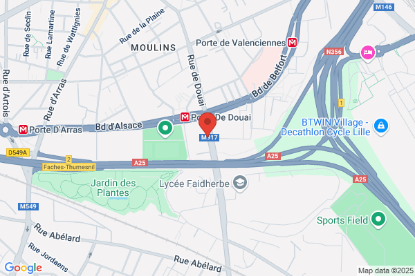 Cedre Insertion