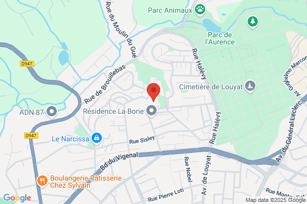 Academie De Billard De Limoges