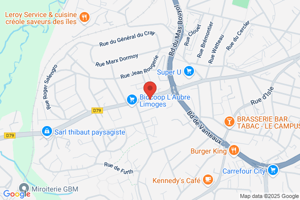 Centre Medico Social Commission Locale D Insertion 4