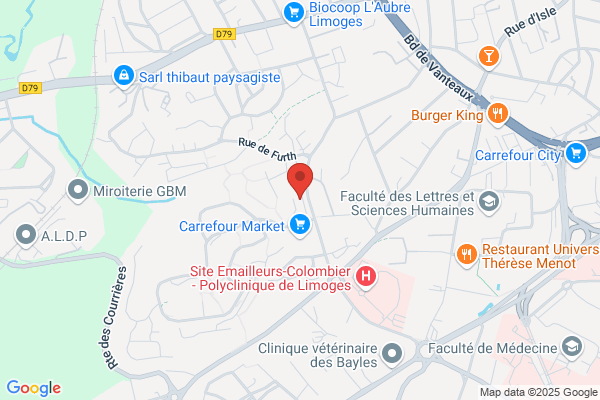 Brethenoux Maurice