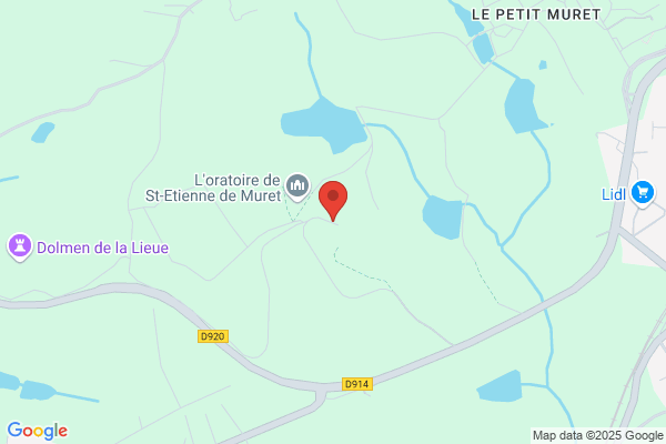 De La Gueronniere Pierre
