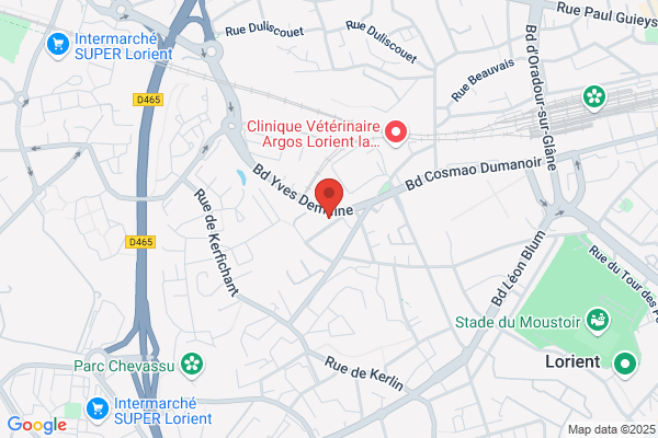 Association Pour L Insertion Professionnelle Et Sociale des h