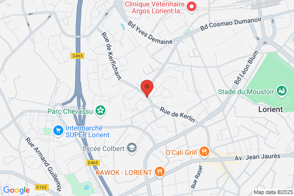 Delices D Anvers Chocolatine Distrib