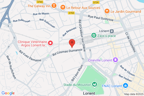 Autovision Auto Securite Lorient Adherent