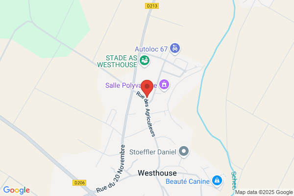 Burger Josiane Infirmiere Dom