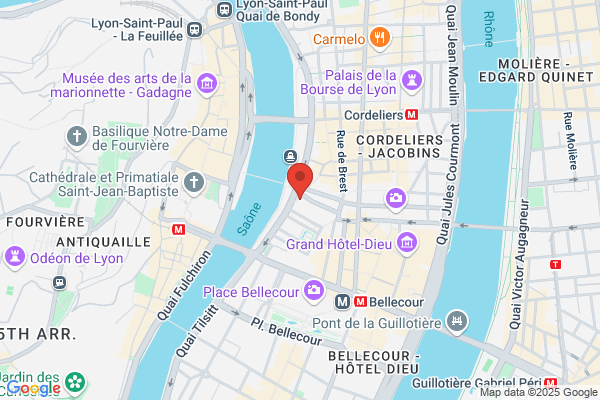 Hospices Civils De Lyon Direction Generale Secretariat D
