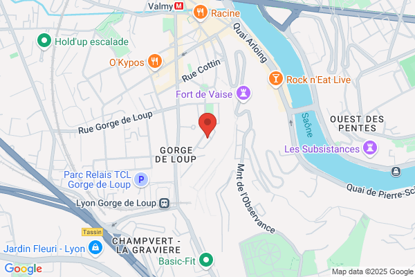 GIF Lyon (GIF Emploi)