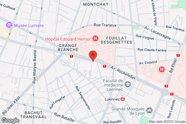 L'Agence Automobilière de Lyon