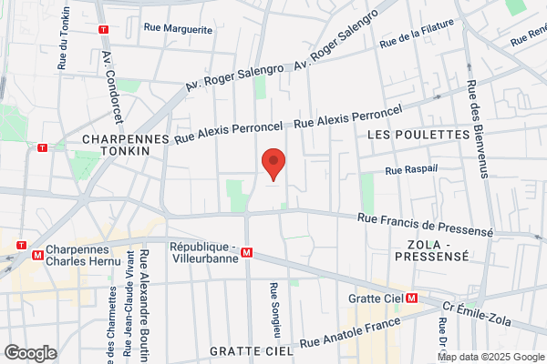 Association Des Paralyses De France Apf Delegation Du rhone