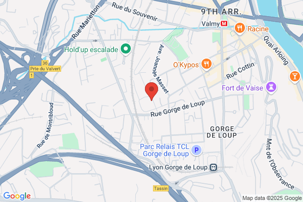 Vaise Services Plans VSP Imprimerie Lyon Photocopies