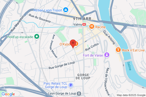 Invest In Lyon