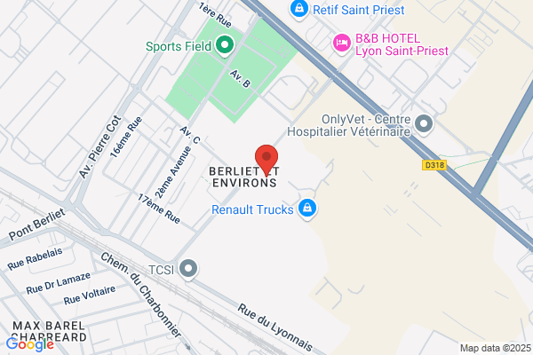 Comite Central Entreprise Renault Vehicules Industriels