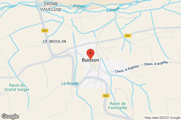Buisson
