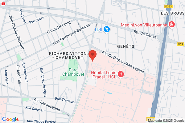 Hopital Debrousse Services Medicaux Consultation Genetique