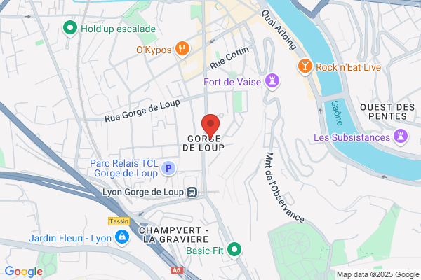 Igs Institut De Gestion Sociale