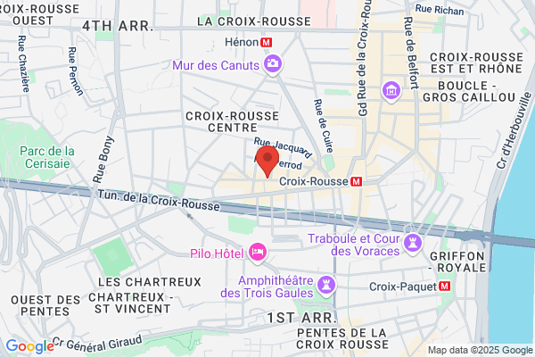 Comite D Etablissement C L Grand Lyon stade