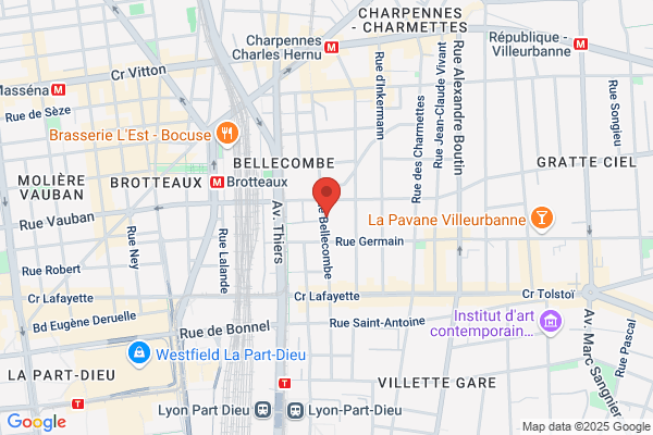 Comite Du Lyonnais De Natation