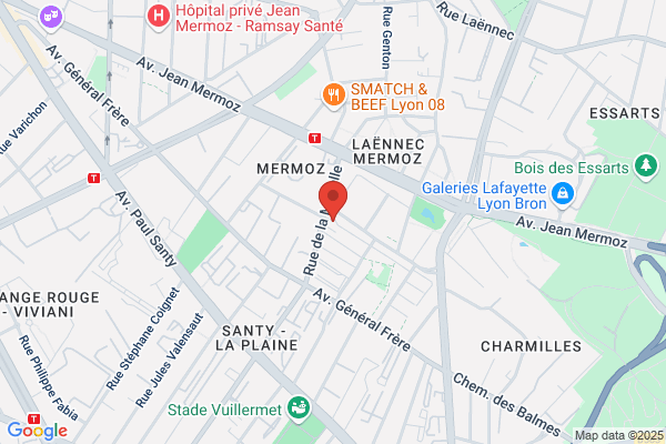Developpement Social Des Quartiers